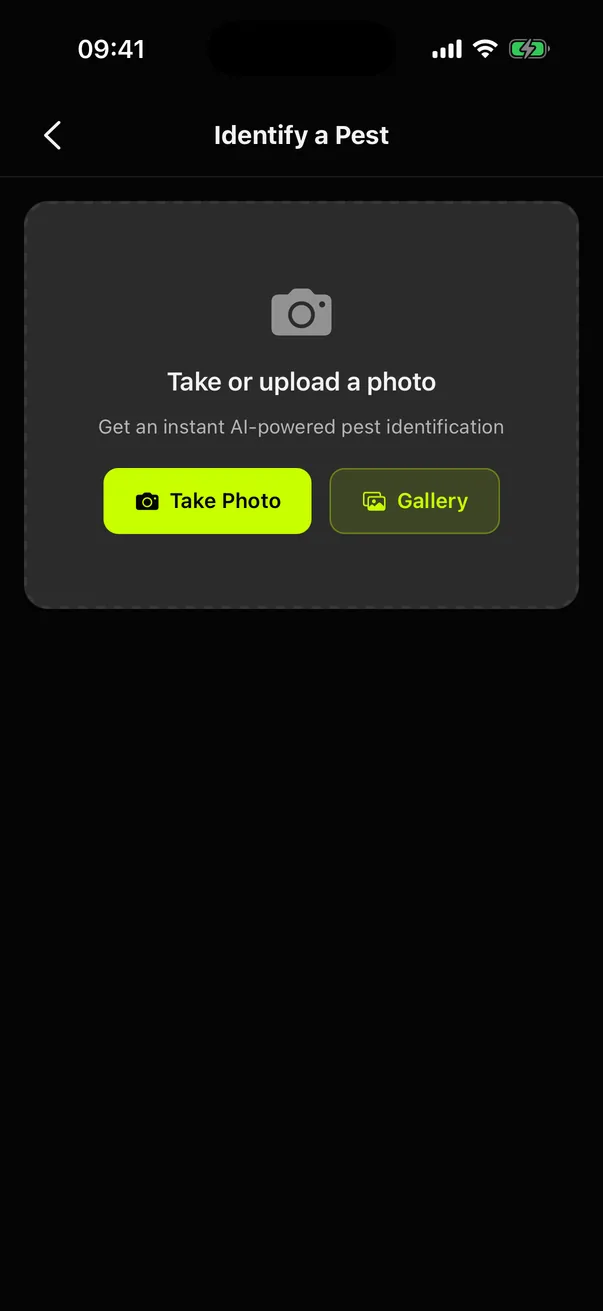Bugged customer app pest identification result from a disposable test account