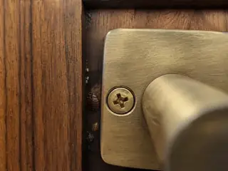 Bed bugs and eggs in the protected gap behind brass headboard mounting hardware
