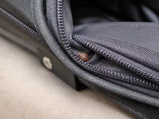 An adult bed bug partly concealed beside the zipper teeth of a fabric suitcase